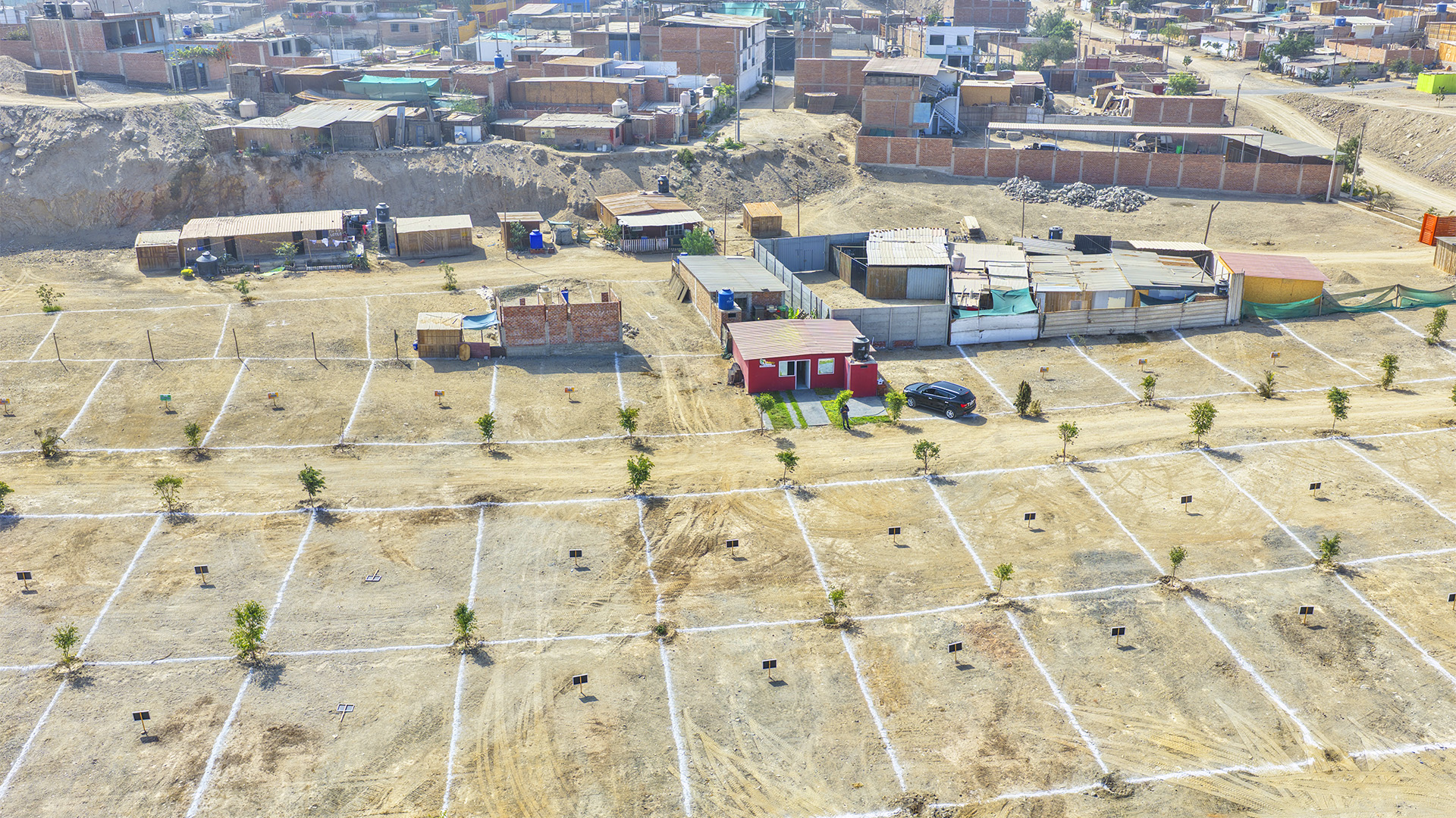 Parque